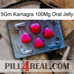 5Gm Kamagra 100Mg Oral Jelly 13